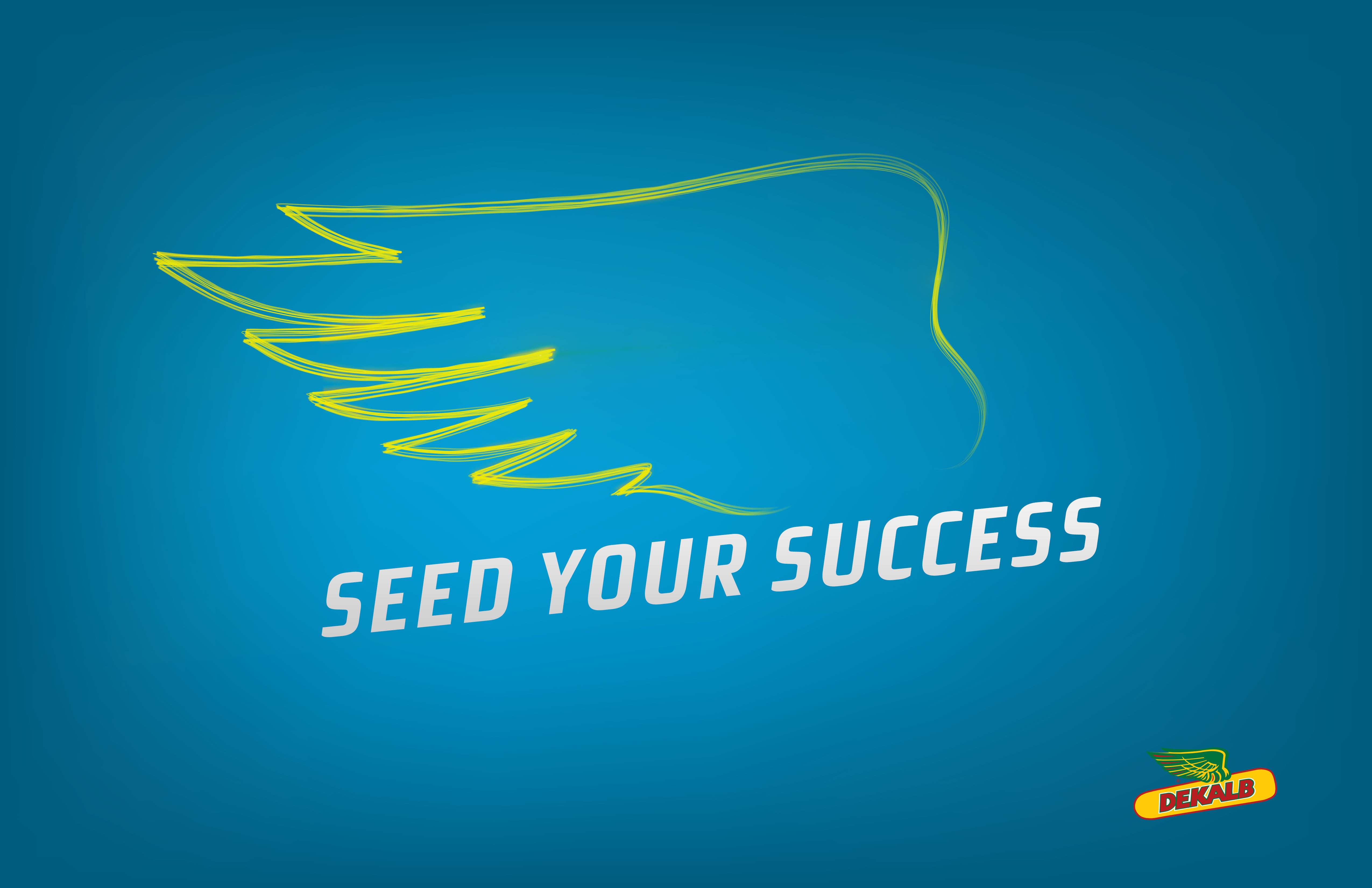 - The Seed To Your Success: Valley Feed And Seed